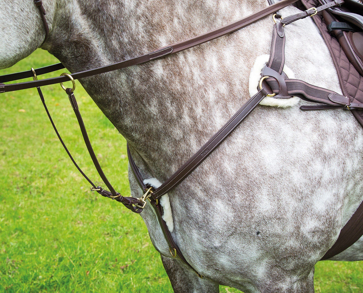 Salisbury Five Point Breastplate - Havana