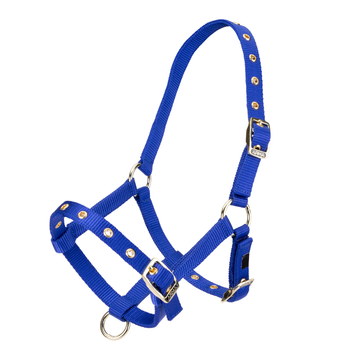 Shires Foal Headcollar - Royal