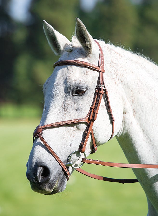 Avignon Grackle Bridle - Oak