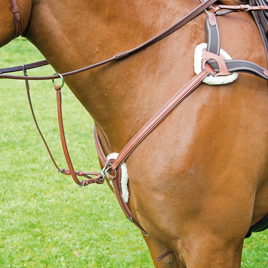 Avignon 5 Point Breastplate - Oak