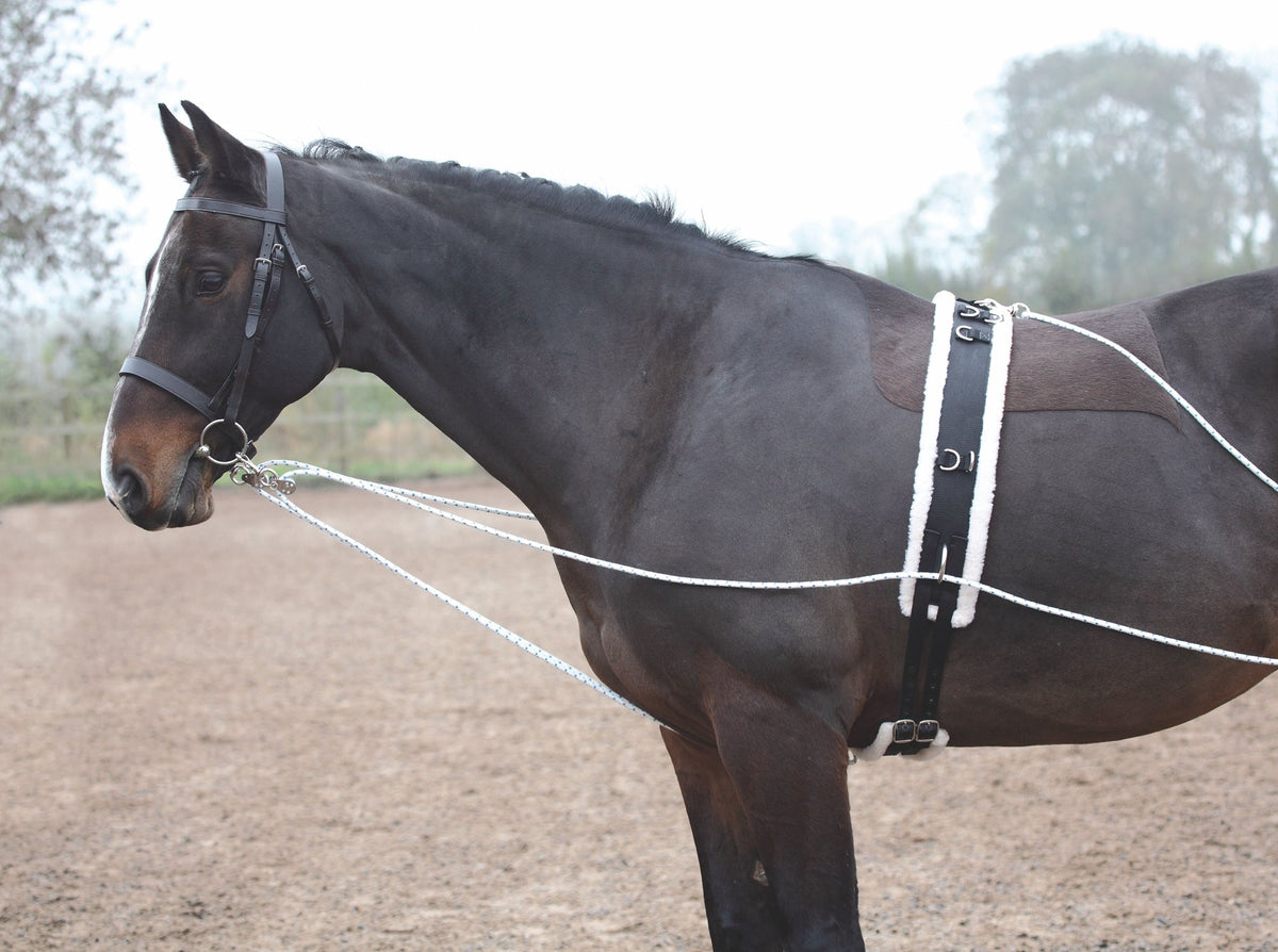 Shires Lunging Aid - Black