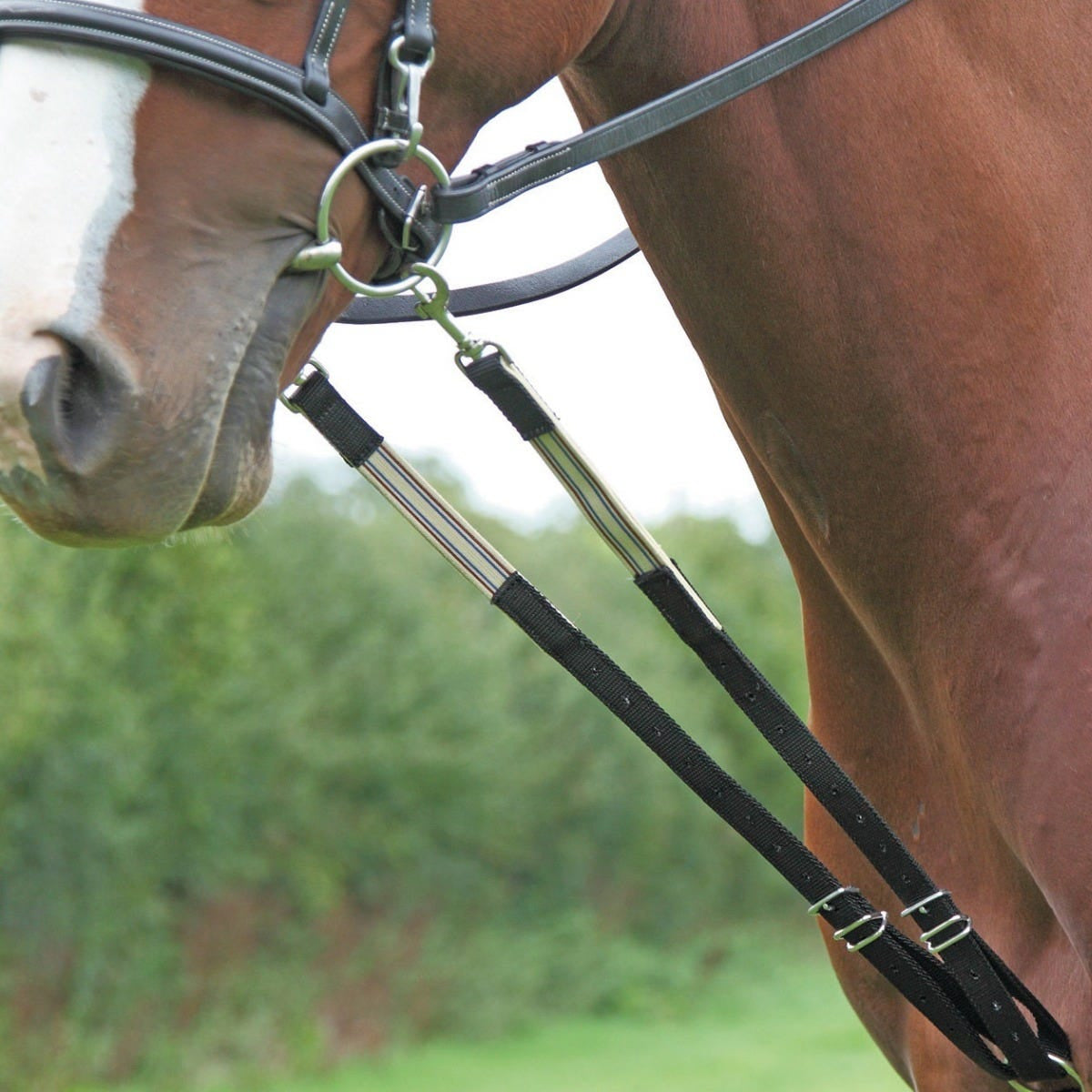 Shires The Original Harbridge Training Aid - Black