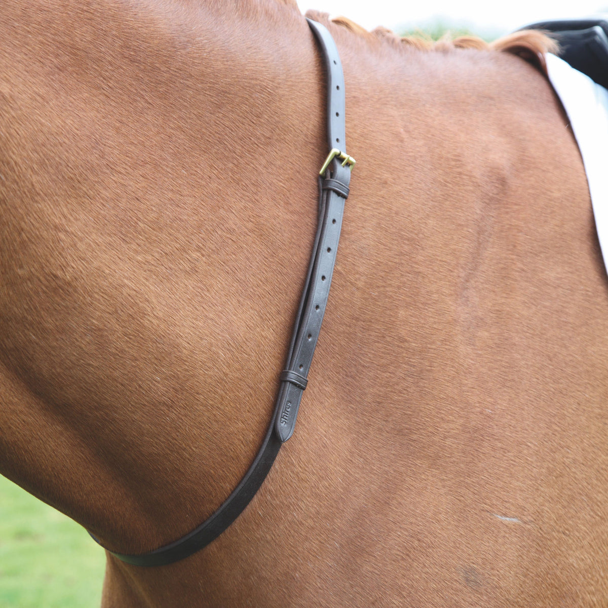 Velociti GARA Leather Neck Strap - Havana