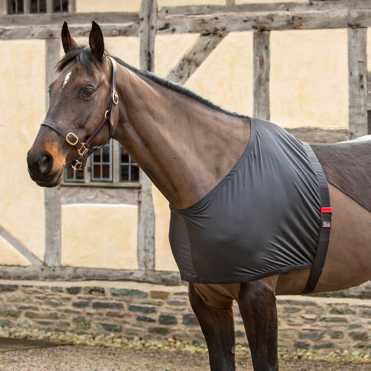 Anti-rub Stretch Vest - Black