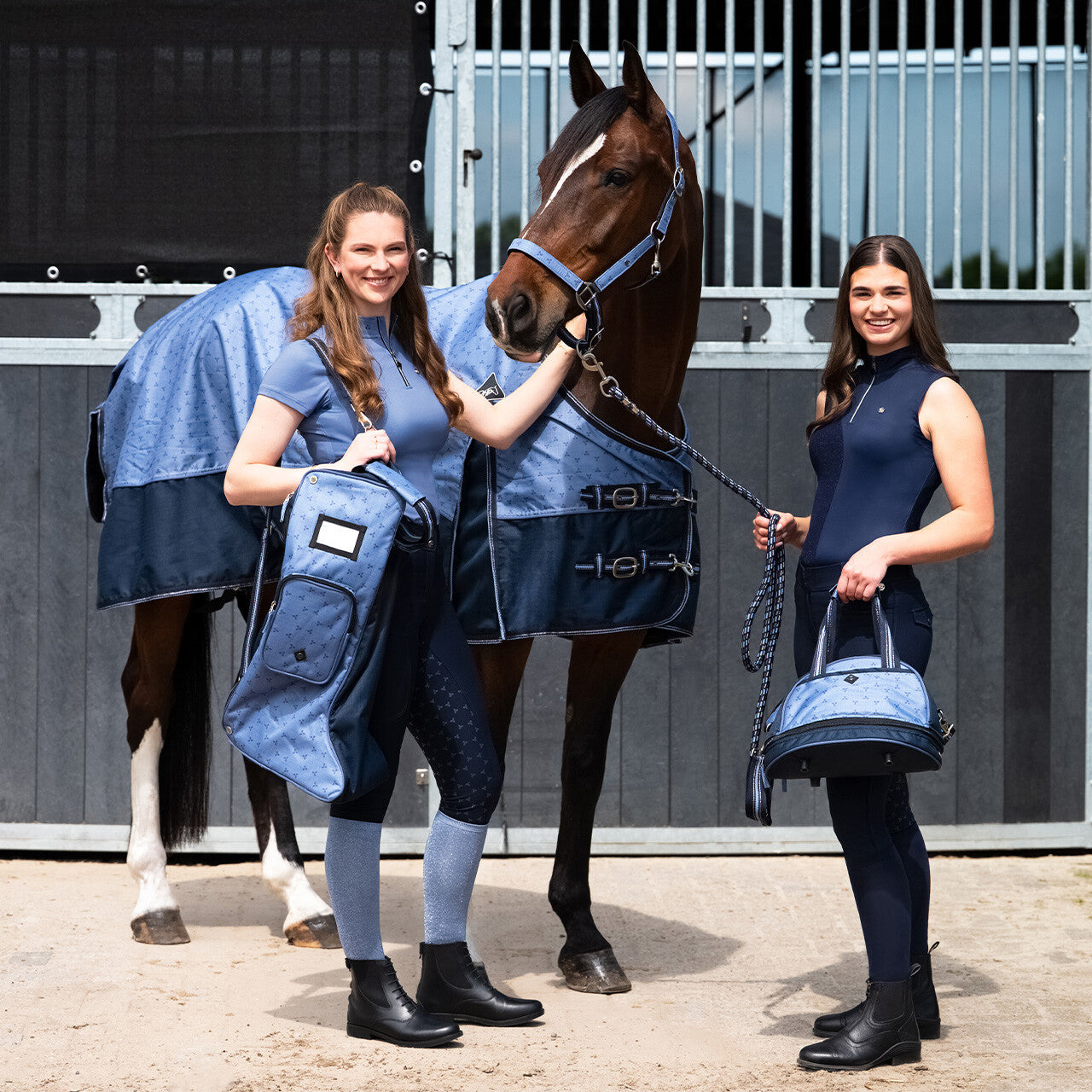 QHP Knee Socks Week Collection (7-pack)