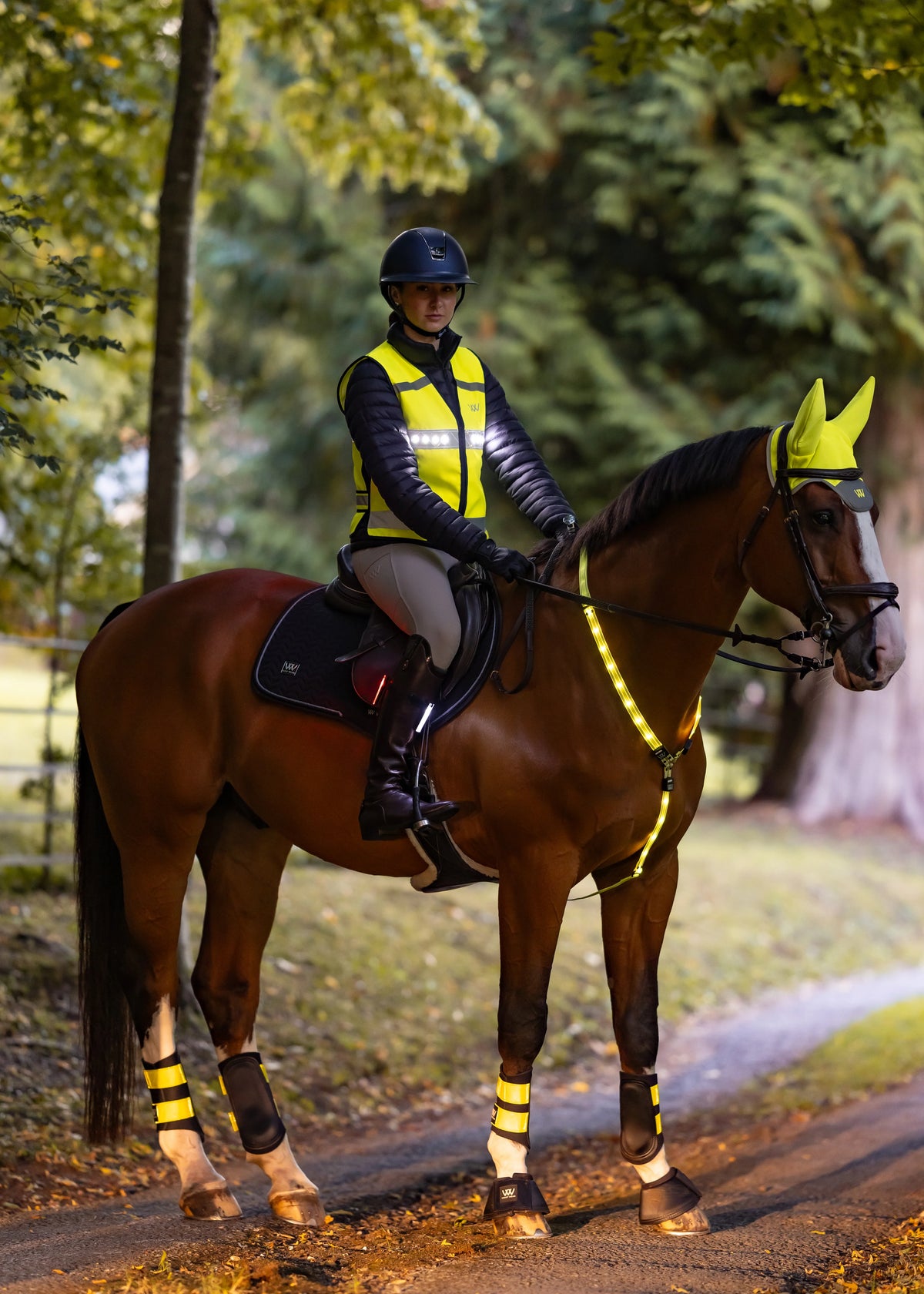 Woof Wear 3-in-1 Rider Safety Lights