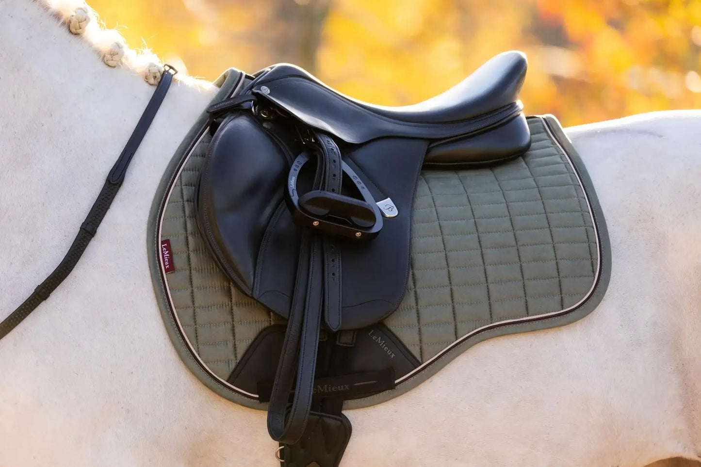 LeMieux AW25 Suede GP Square