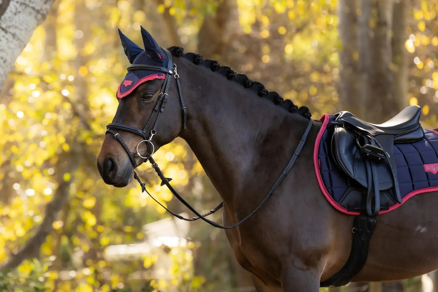 LeMieux AW25 Loire Classic GP Square