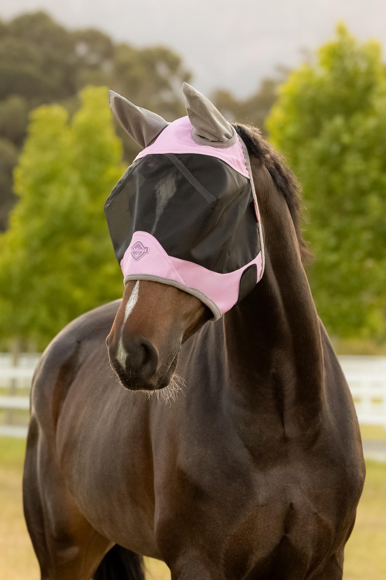 LeMieux SS26 Visor-Tek Half Fly Mask