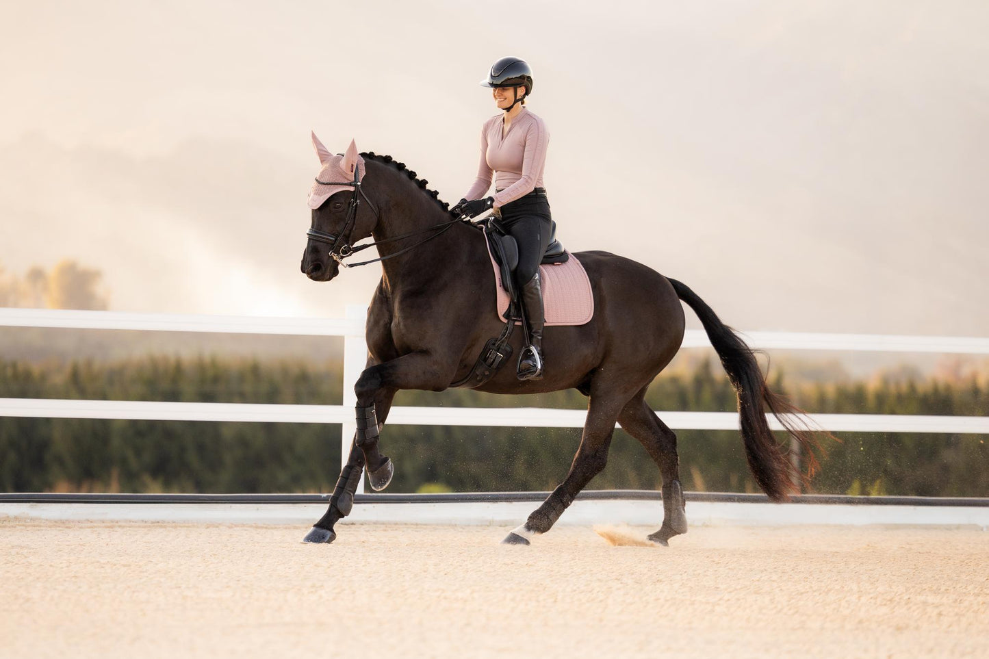 LeMieux AW26 Essence Dressage Square