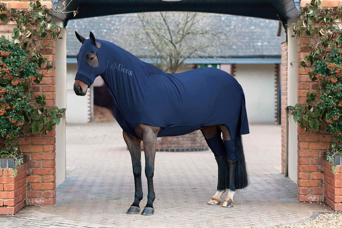 LeMieux AW26 Stretch Show Rug