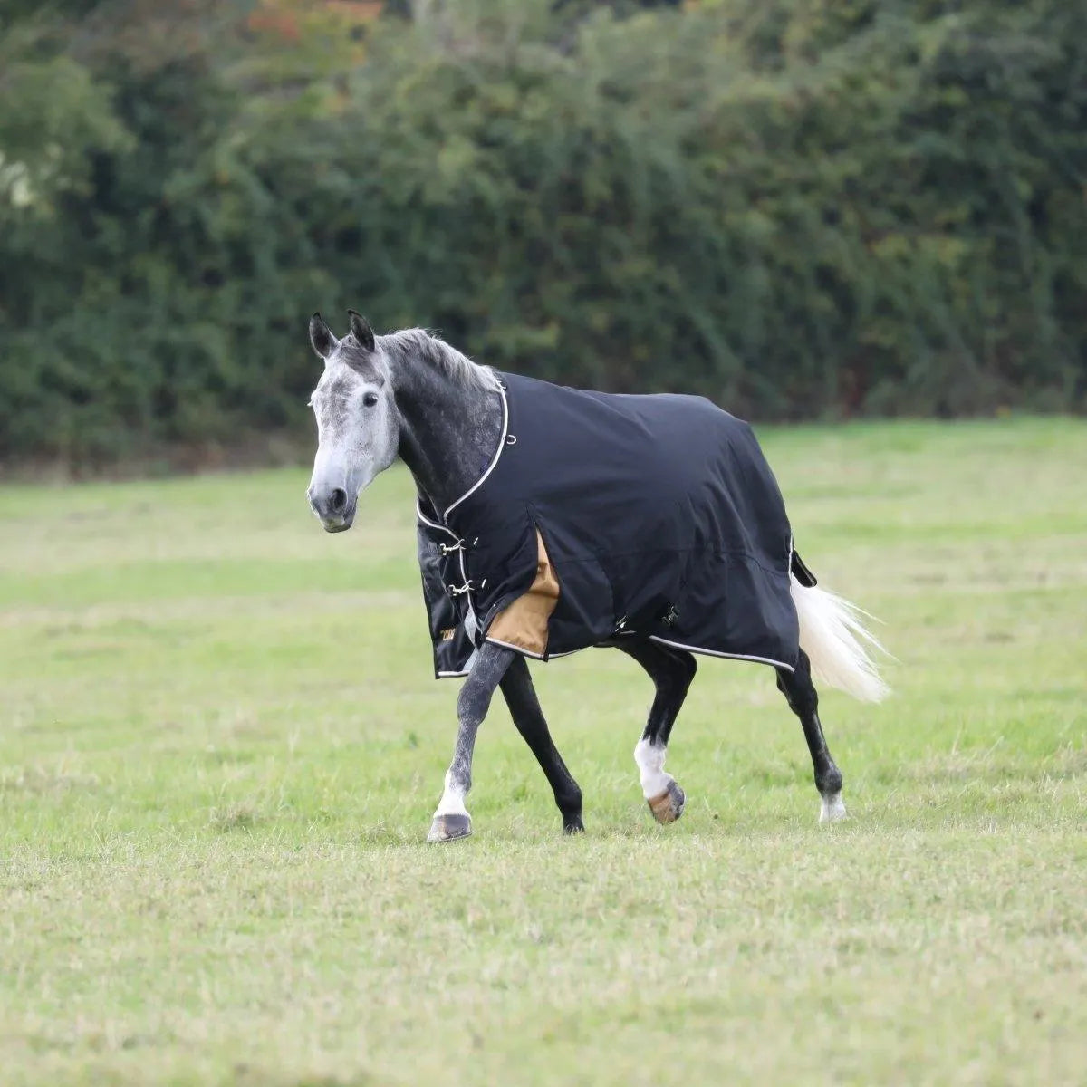 Highlander Plus 200 Turnout Rug - Black - 5ft