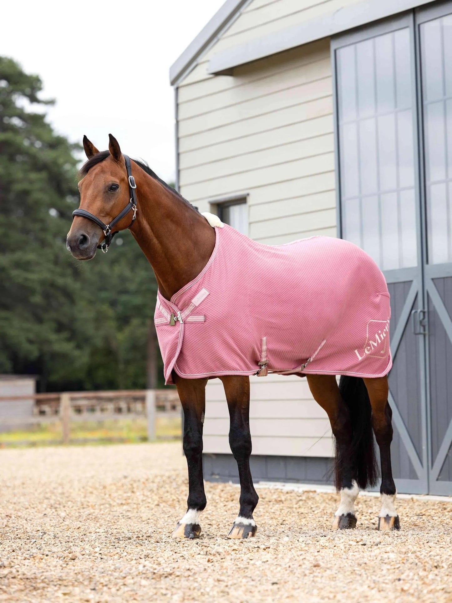 LeMieux Kudos Bamboo Cooler