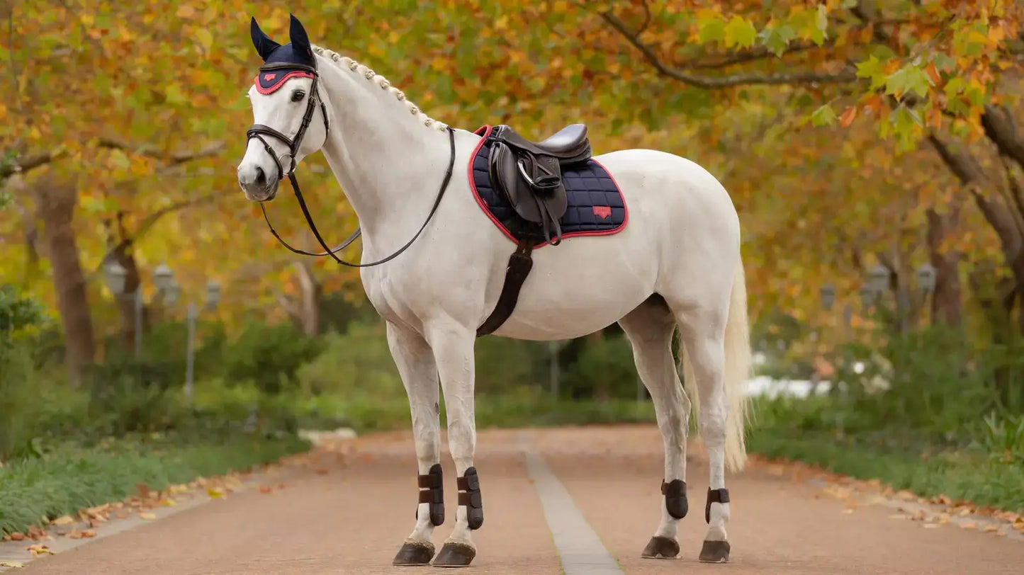 LeMieux AW25 Loire Classic Close Contact Square