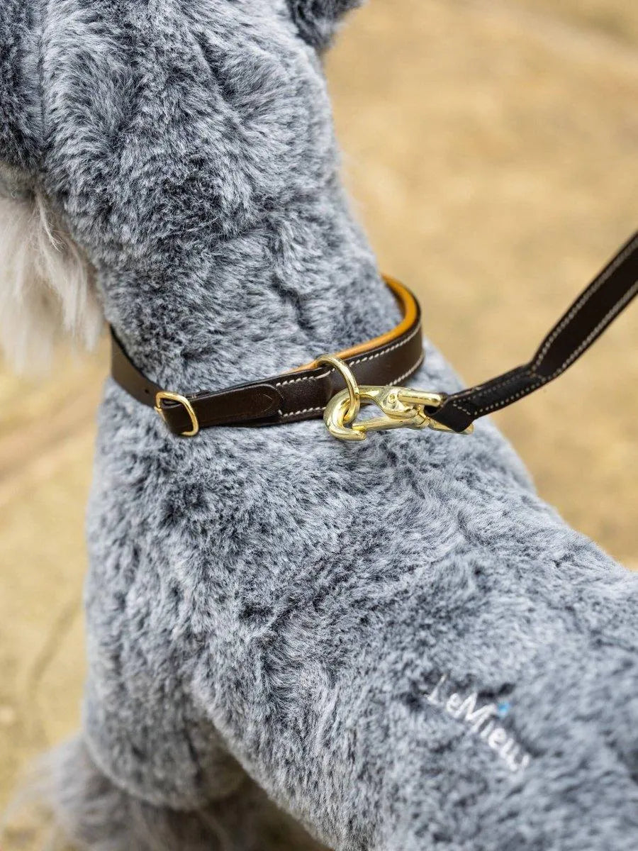 LeMieux AW24 Toy Puppy Collar & Lead Ginger/Brown -