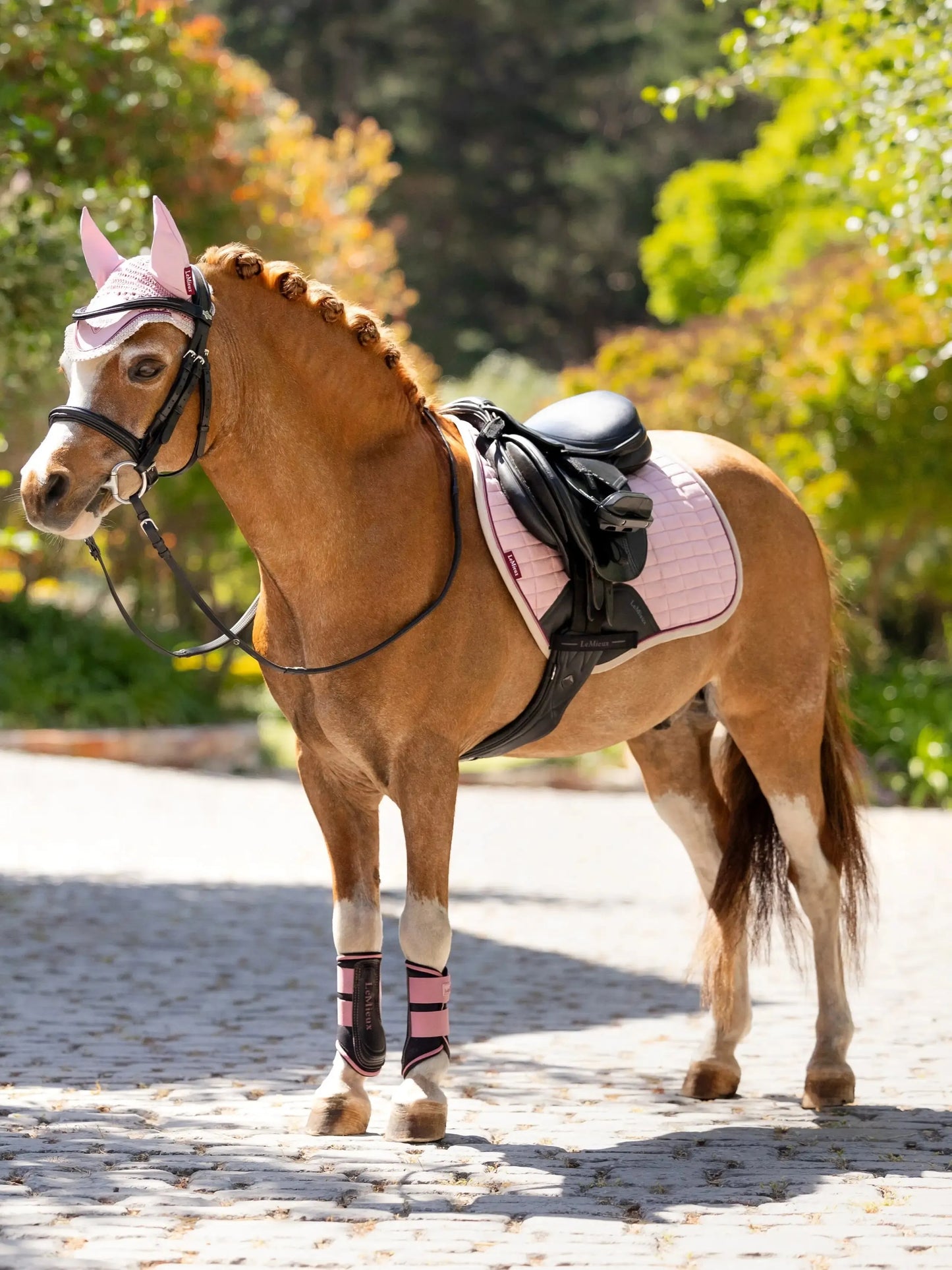 LeMieux SS25 Mini Brushing Boots