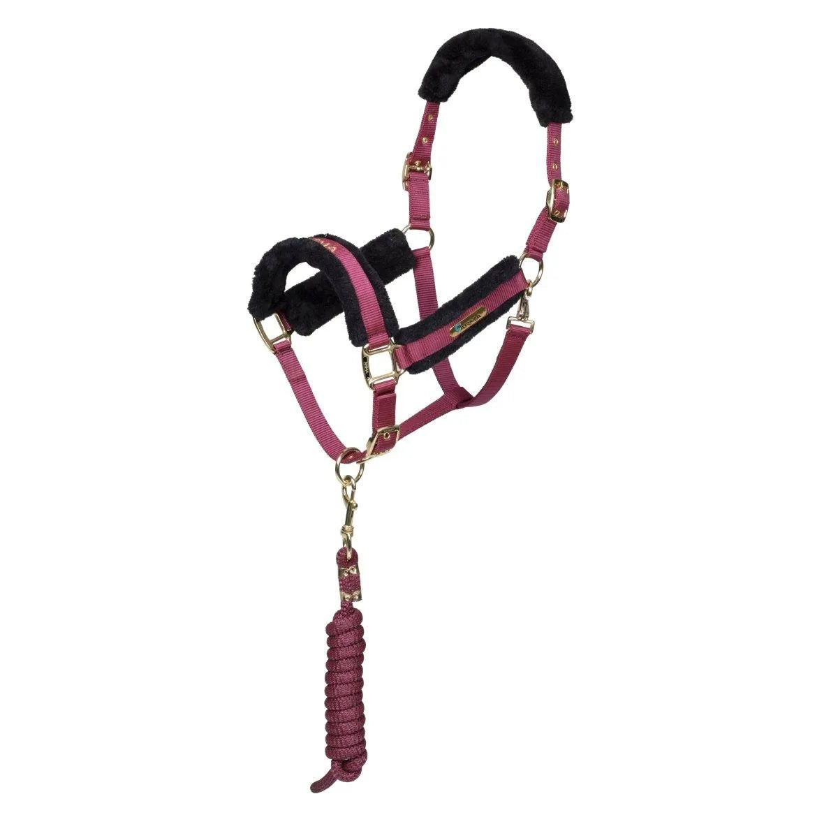 ARMA Logo Headcollar & Lead Rope - Black - Cob