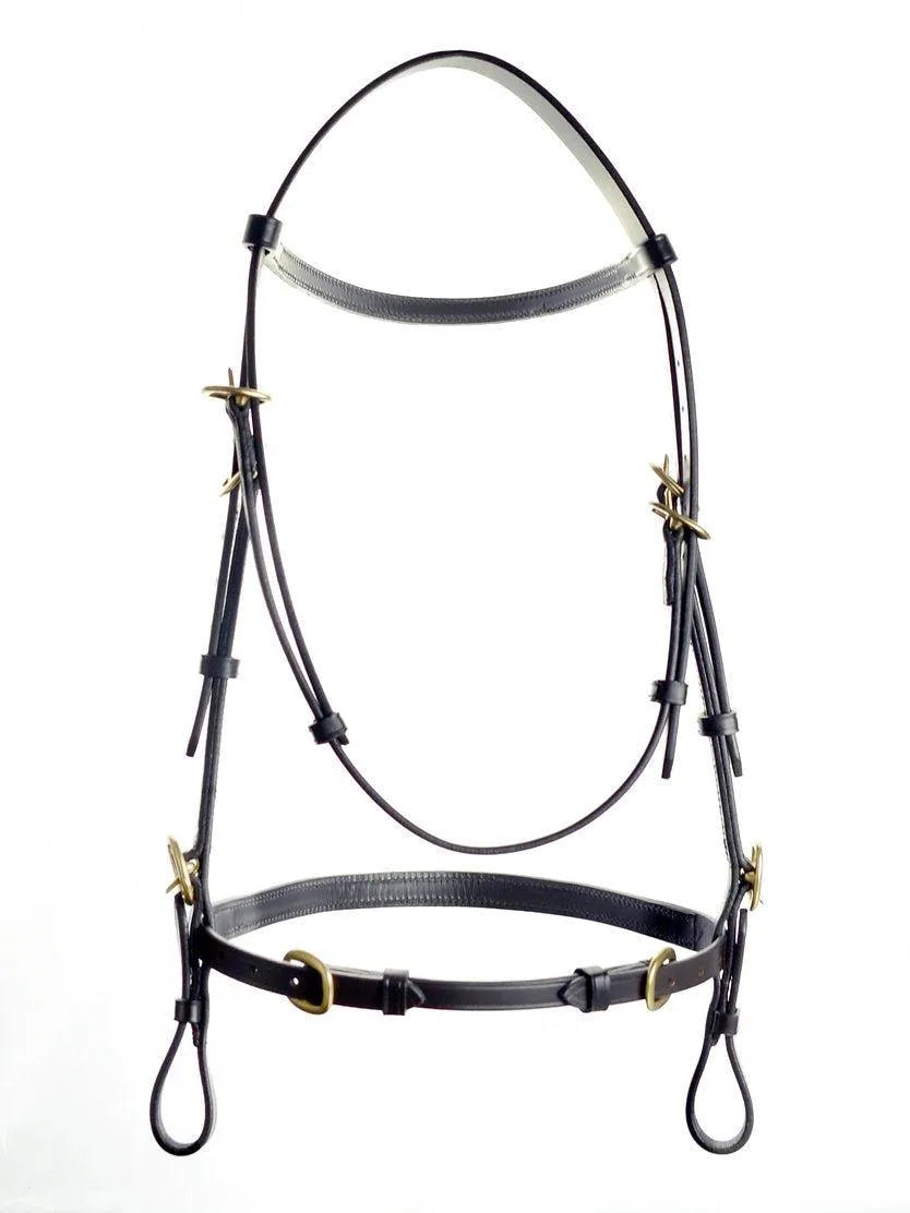Ascot Inhand Bridle - Brown - Cob