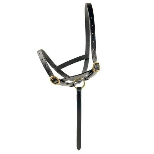 Ascot Leather Foal Slip - Brown - Small