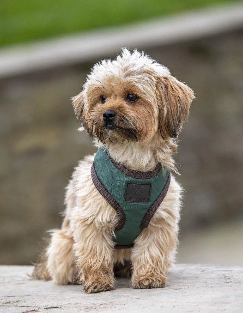 Digby & Fox Heritage Harness - Forest - XL