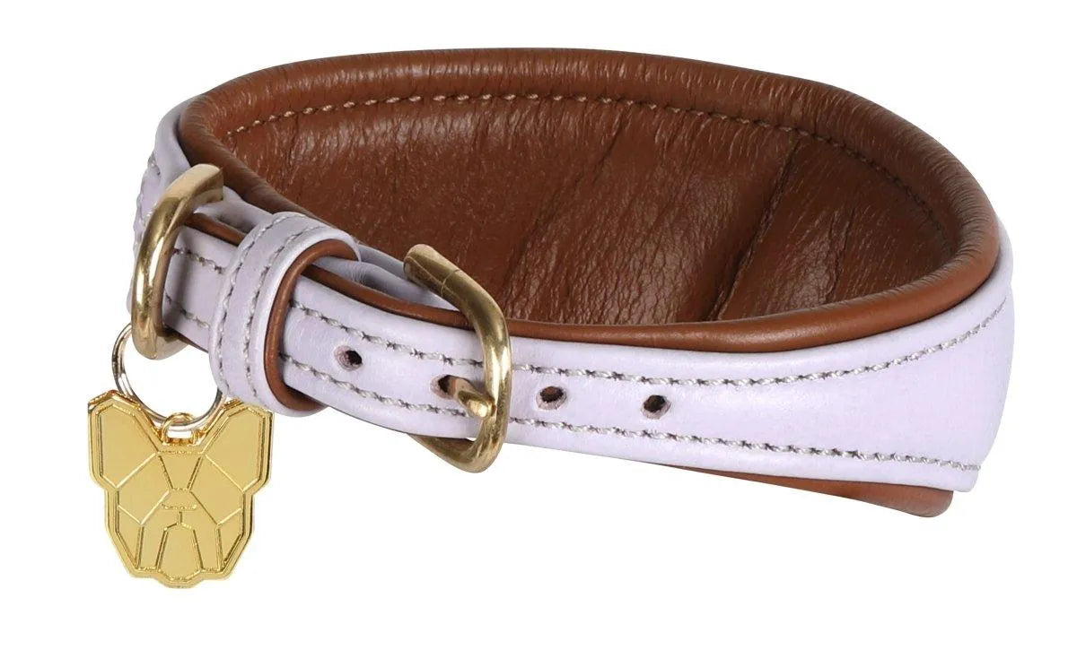 Digby & Fox Padded Greyhound Collar - Black - L