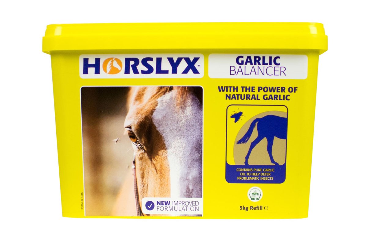 Horslyx Balancer Lick - Garlic - 5Kg