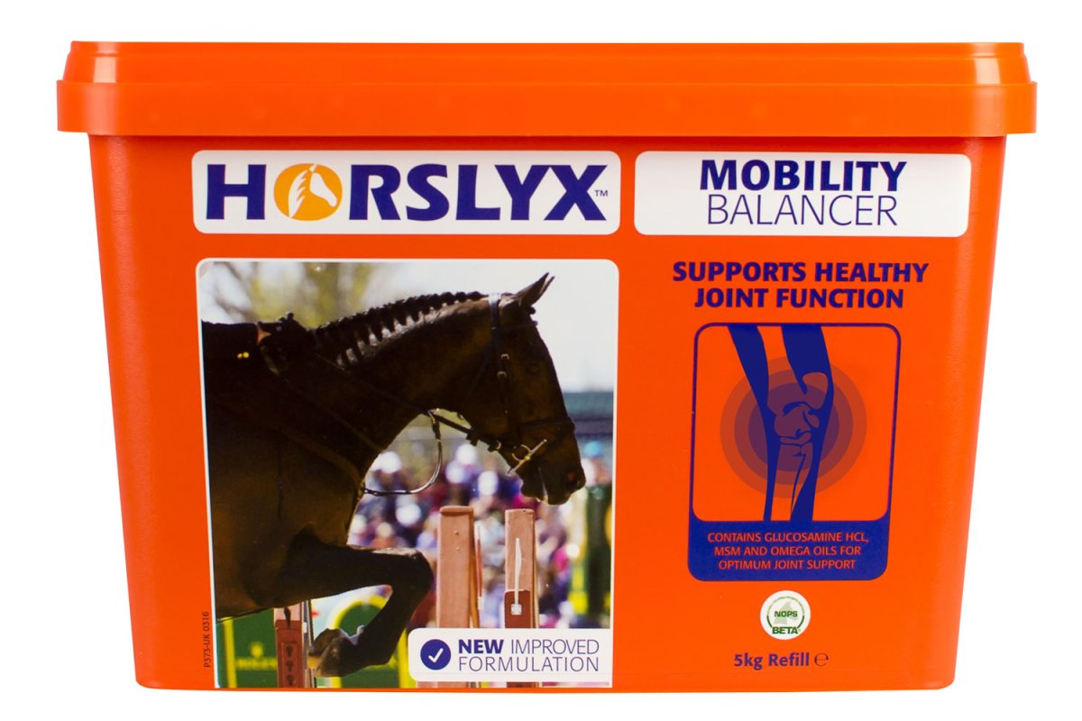 Horslyx Balancer Lick - Mobility - 5Kg