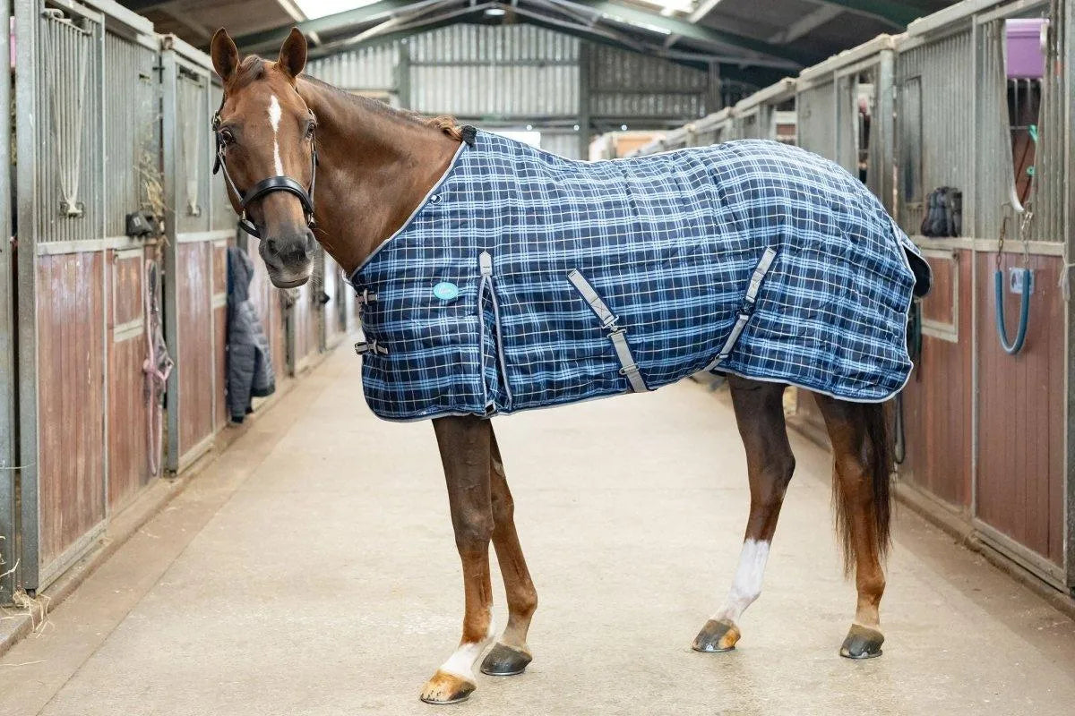 Storm Equine Stable Rug - Standard Neck - 200g Fill - 5ft -