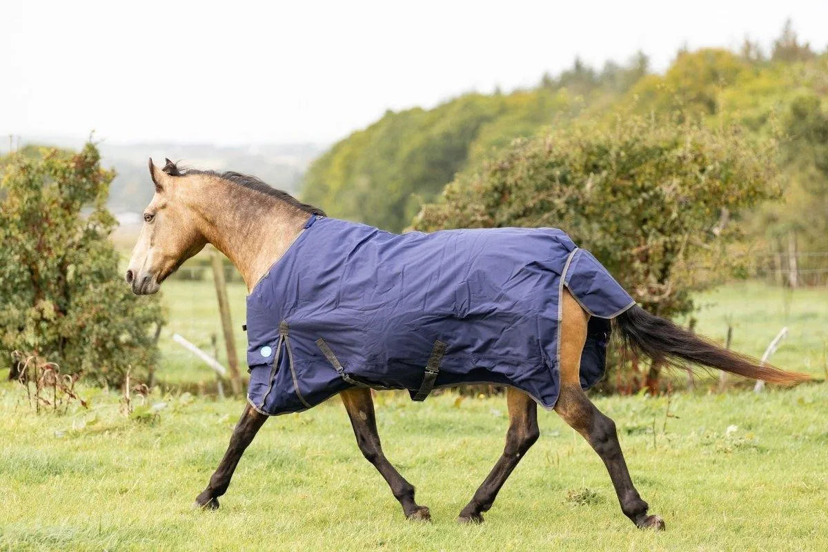 Storm Equine Turnout Rug - Standard Neck - 200g Fill - 5ft -