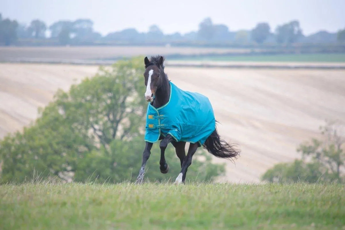 Tempest Original 300 Turnout Rug - Black - 4'0"