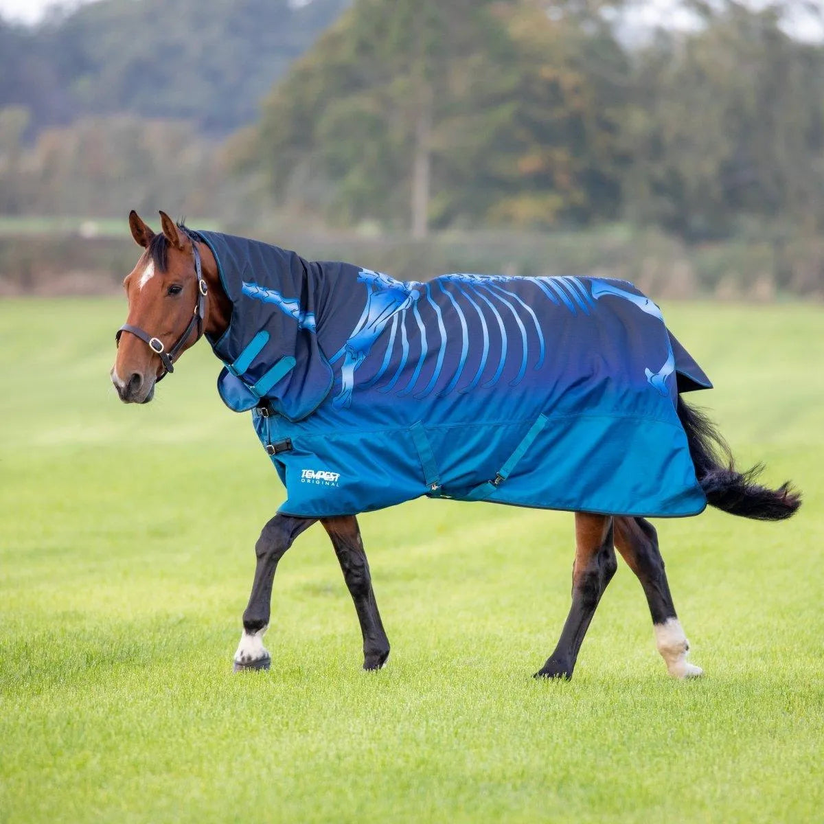 Tempest Original Lite Turnout Combo Rug - Teal - 4'0"