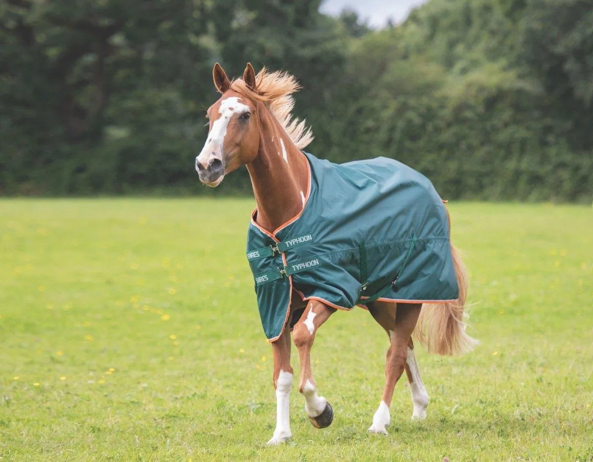 Typhoon Lite Combo Turnout Rug - Green - 4'0"