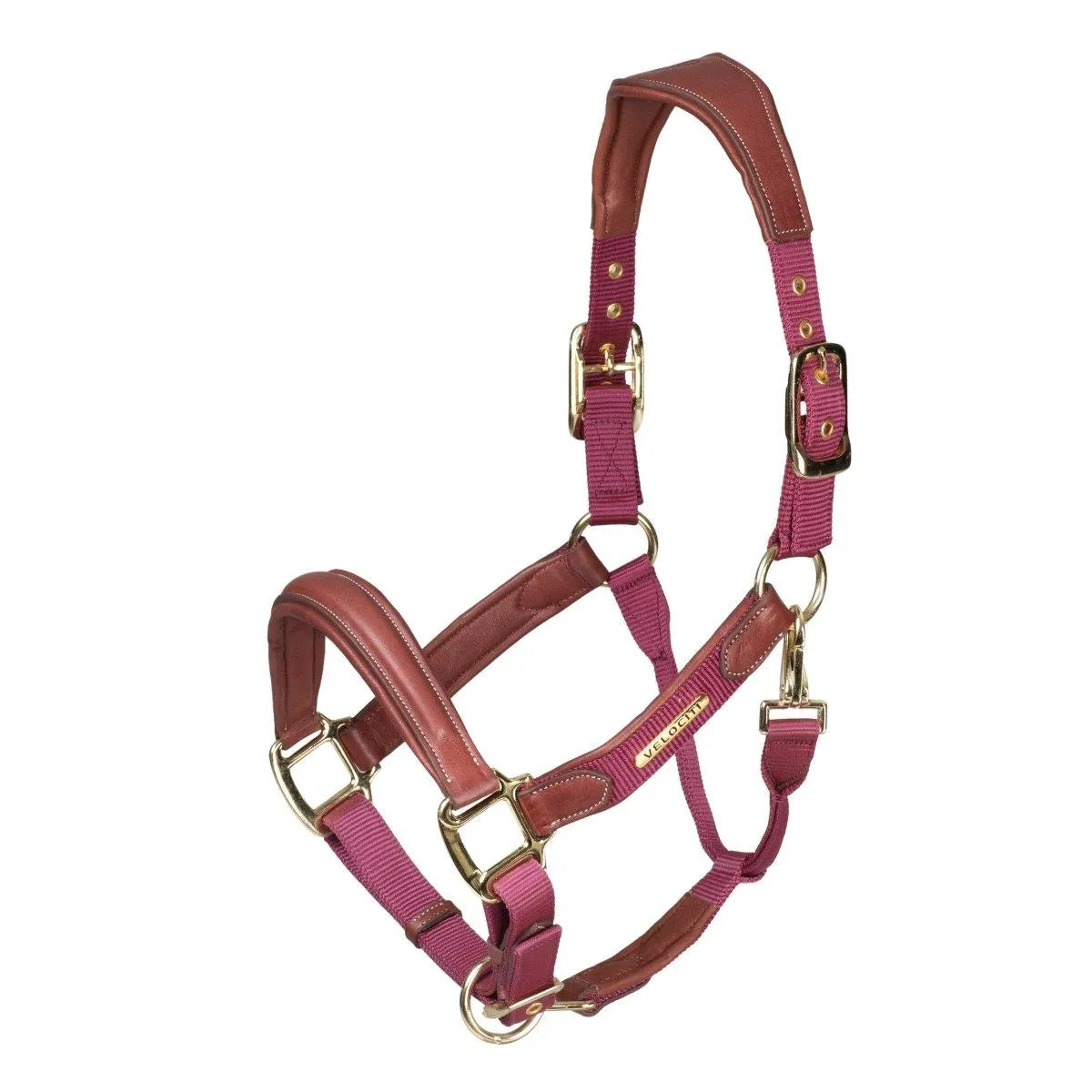Velociti Lusso Padded Leather Headcollar - Black - Cob