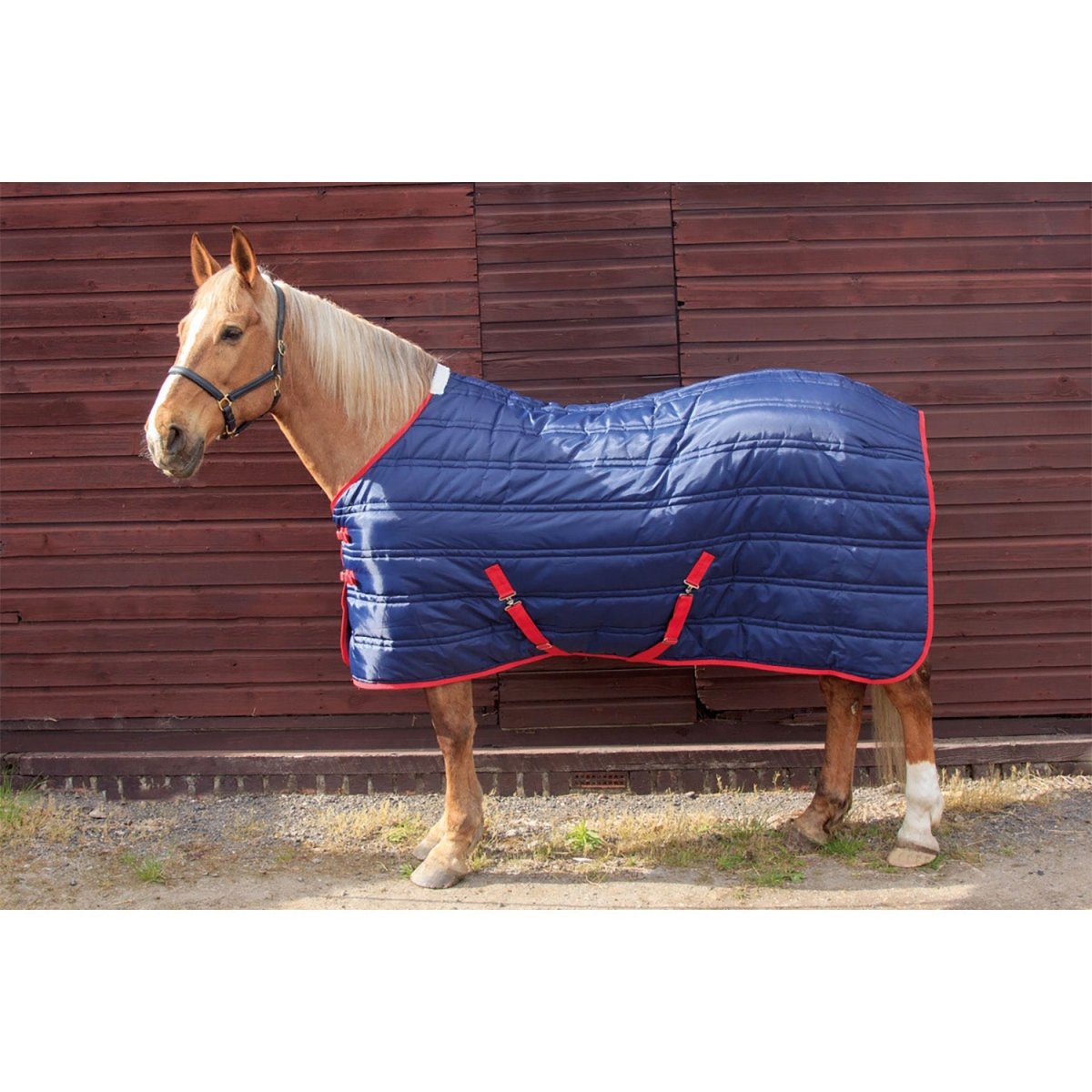 Whitaker Thomas Stable Rug 250Gm - Navy/Red - 4'9"
