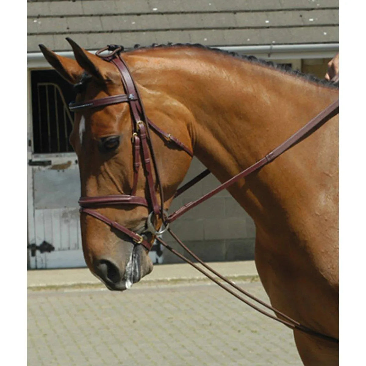 Whitaker Training Rein - Havana -