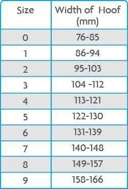 Woof Wear Medical Hoof Boot - 1 -