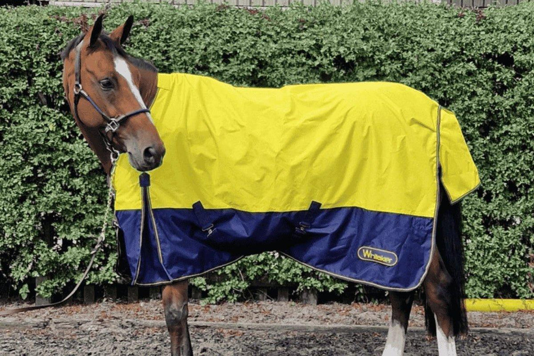What Types Of Horse Rugs Are There? | Ayr Equestrian