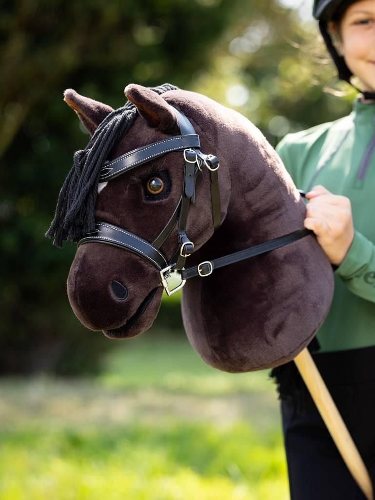 Fun Pastime Hobby Horsing: From Pastime to Sport | Ayr Equestrian