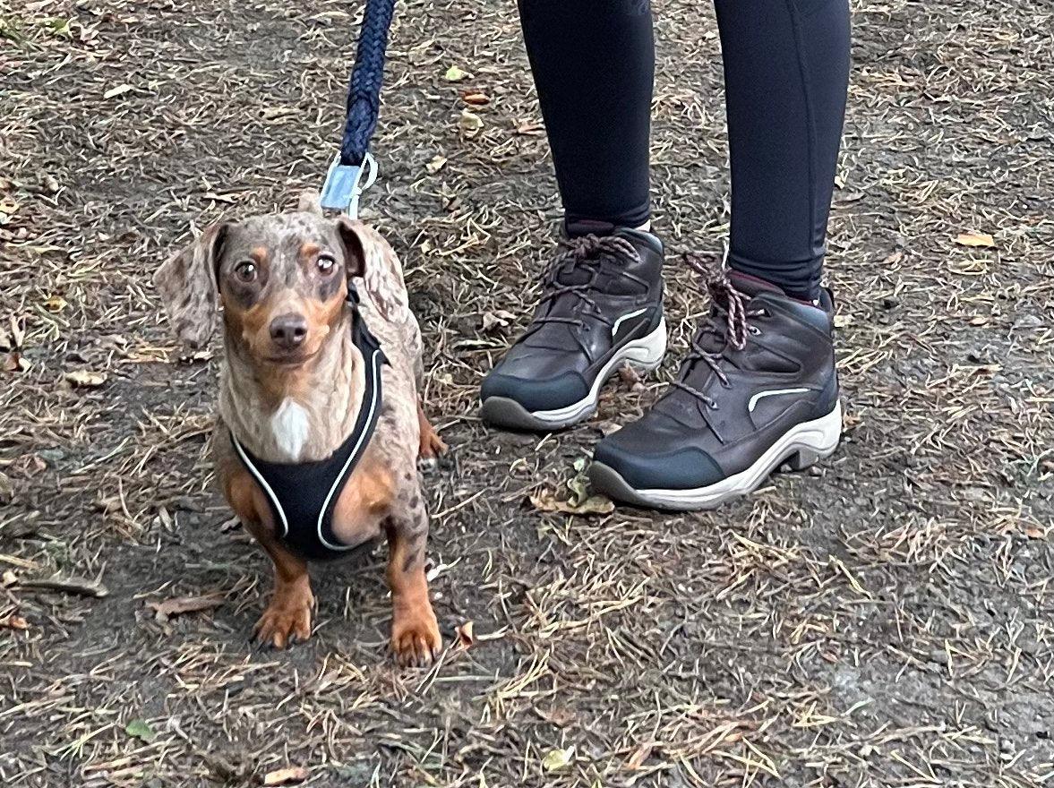 Ariat Country Casual - Ayr Equestrian