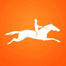 Schockemohle - Ayr Equestrian