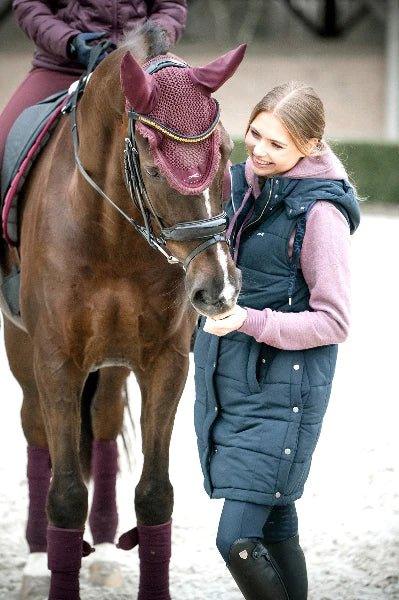 Shockemohle Clearance - up to 40% OFF - Ayr Equestrian