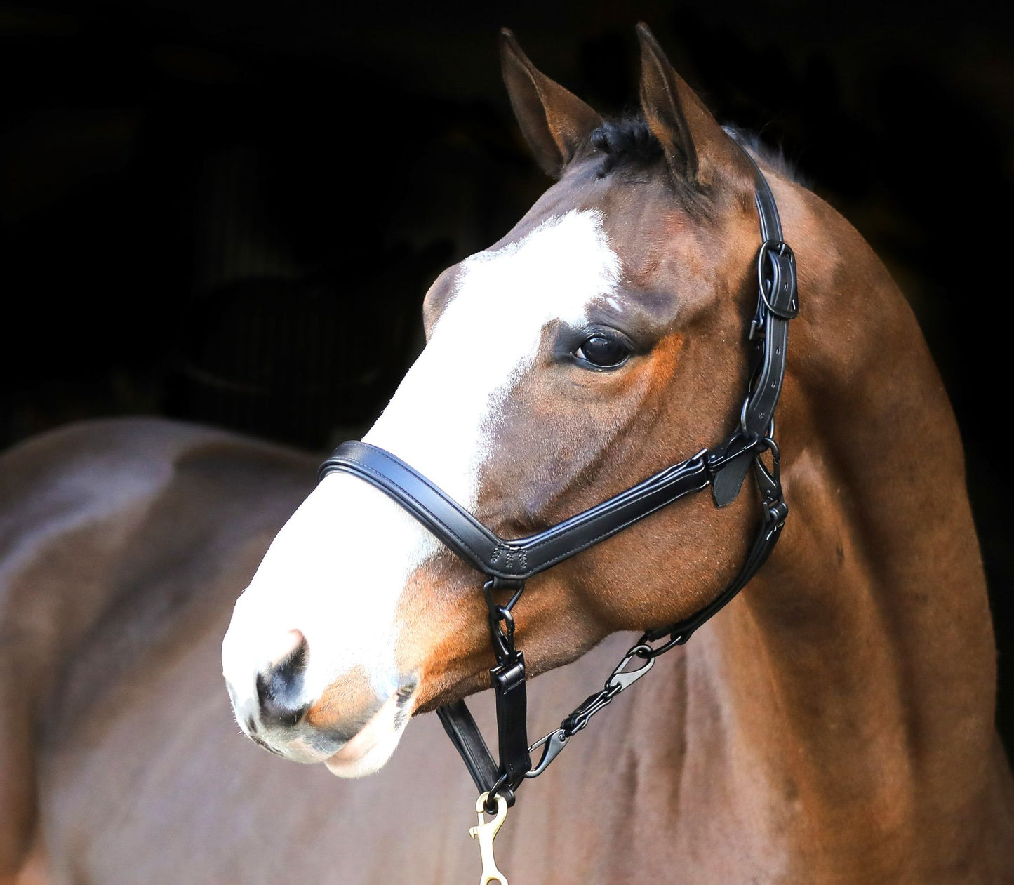 Liveryman Clipping Halter