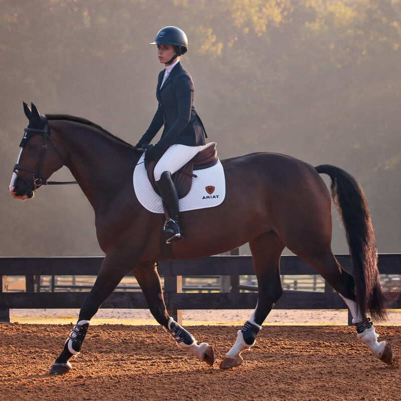 Ariat AW26 Allure Show Jacket