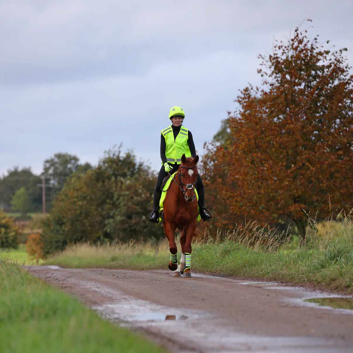 EQUI-FLECTOR® Safety Vest
