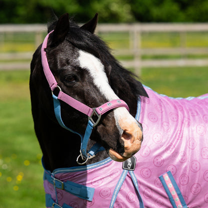 QHP Rosalynn Headcollar SS26 Collection