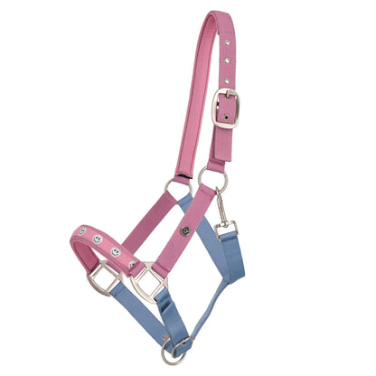 QHP Rosalynn Headcollar SS26 Collection