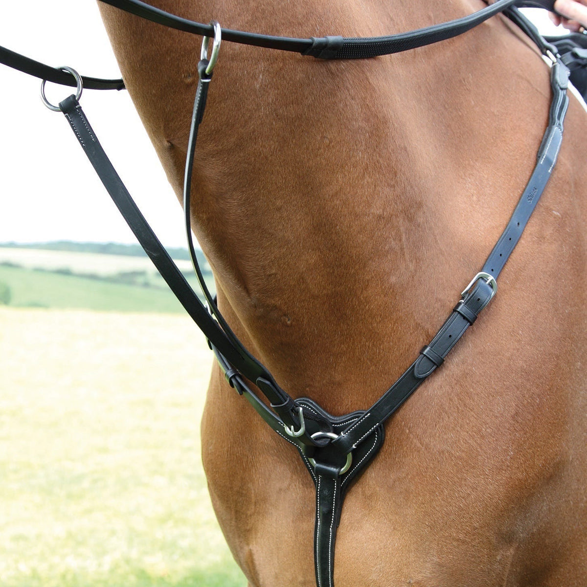 Salisbury Three Point Breastplate - Black