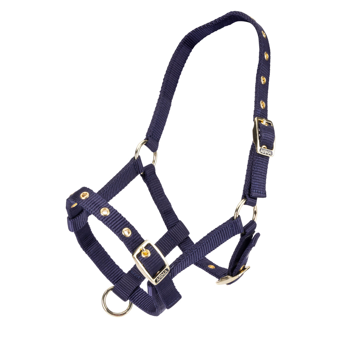 Shires Foal Headcollar - Navy