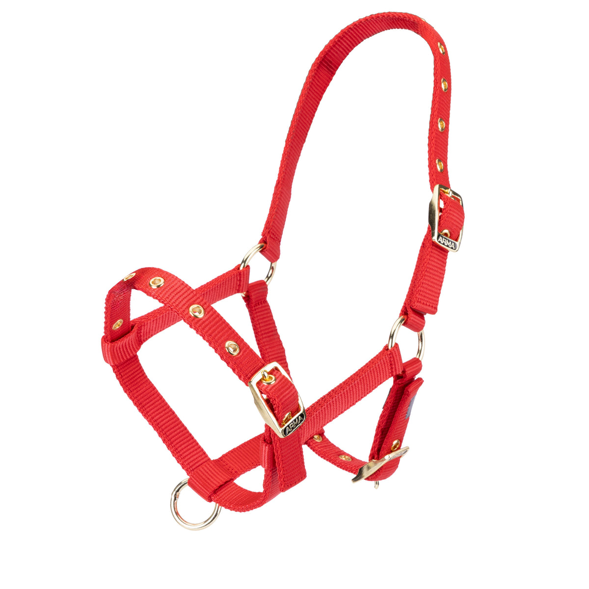Shires Foal Headcollar - Red