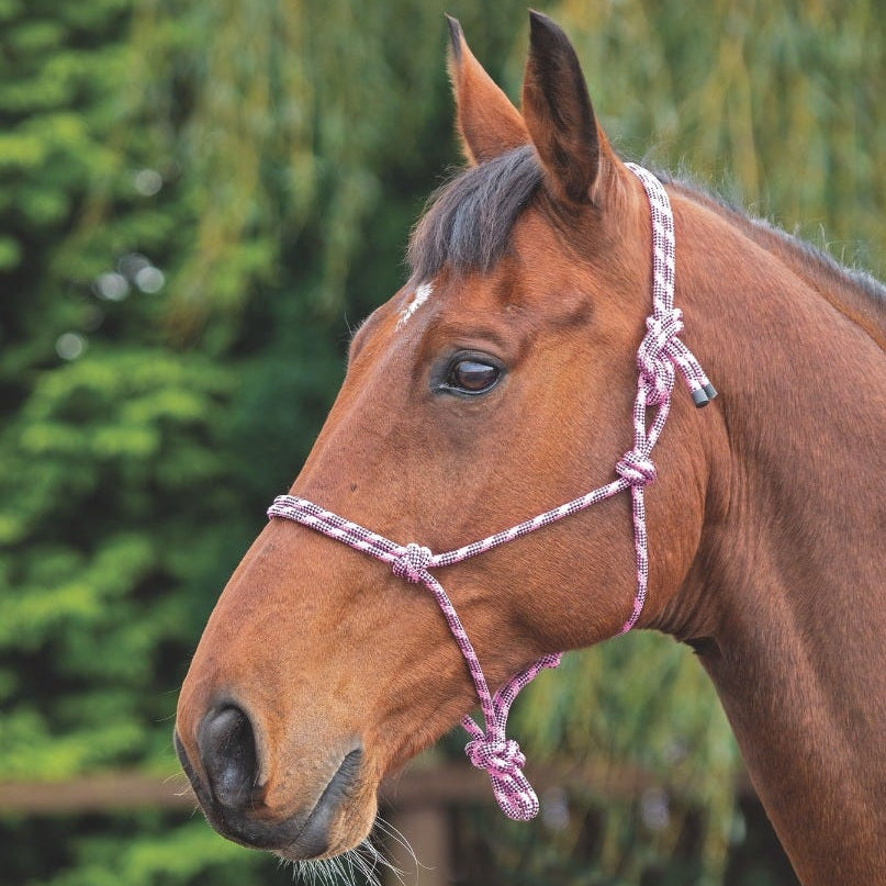 Shires Rope Control Headcollar - Pink/Black